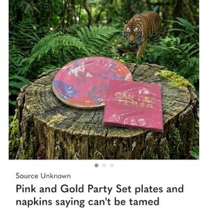 Pink and Gold Party Set plates and napkins saying can't be tamed